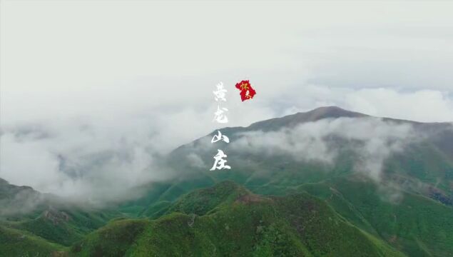 【文旅】这么近,那么美!主播带您“云”游黄龙山庄,200张福利体验票免费送!