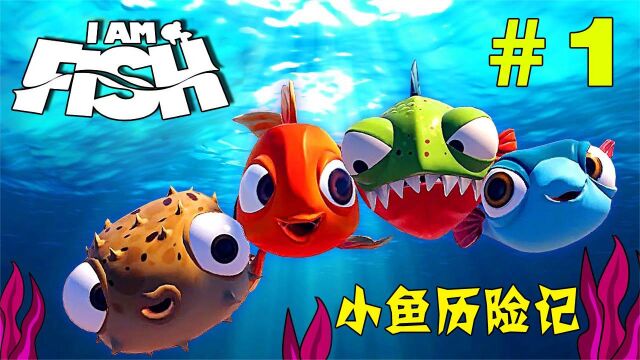 小金鱼历险记:带着鱼缸就跑,我要回大海【I am fish:金鱼】#1