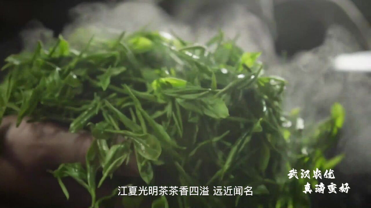 武汉优质农产品——江夏光明茶:走俏市场 产量年年增 依然供不应求