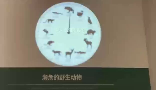 保护生物多样性