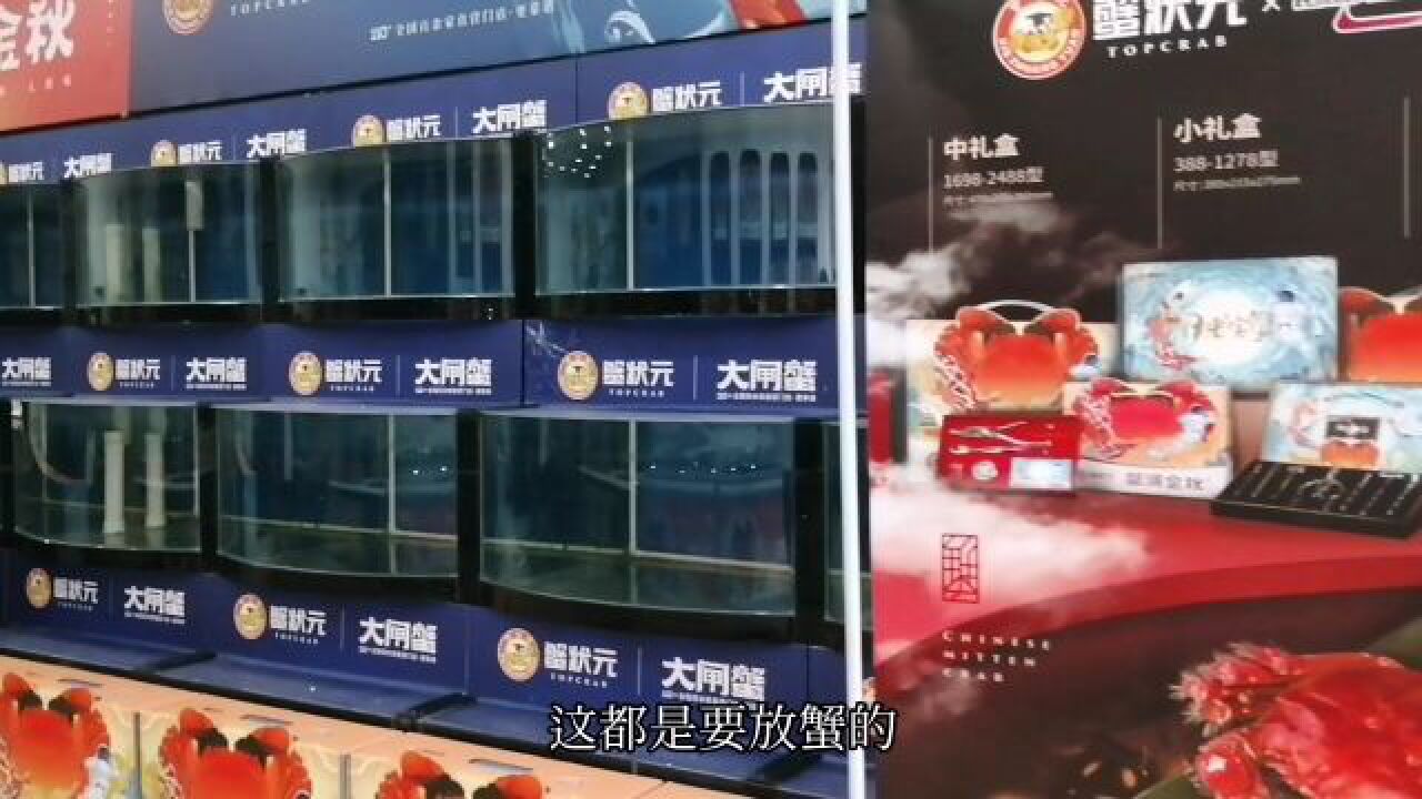 蟹满金秋,走进民族品牌“蟹状元”,一起打开月光宝蟹