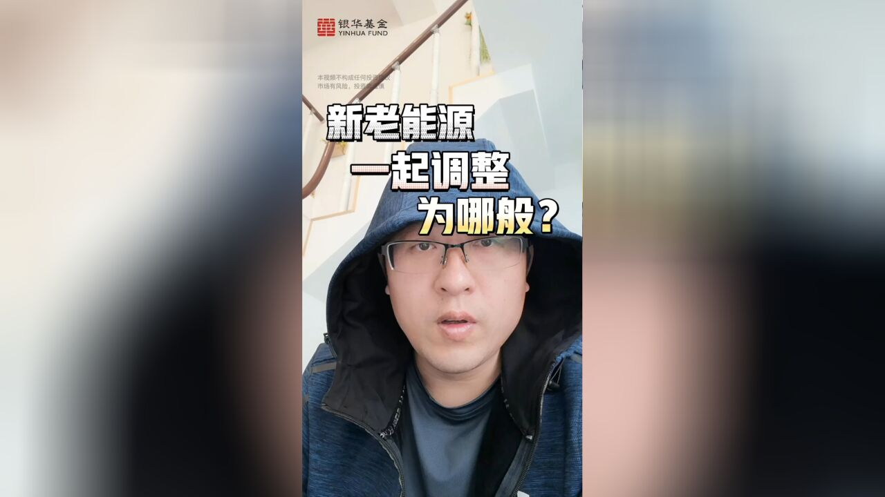 基金大复盘:新老能源一起调整为哪般?