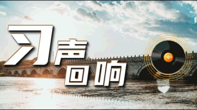 习声回响 | 铭记历史、珍爱和平,习近平谈抗战 | 视点