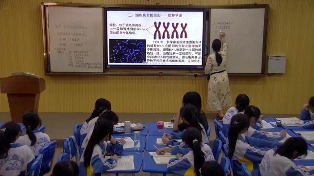 基于深度学习的高中生物学单元教学活动设计之6.3细胞衰老和死亡