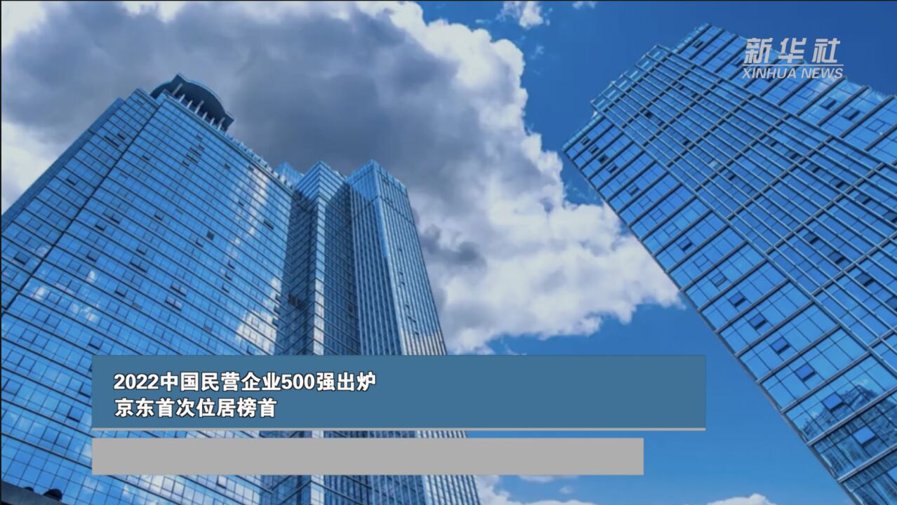 2022中国民营企业500强出炉 京东首次位居榜首