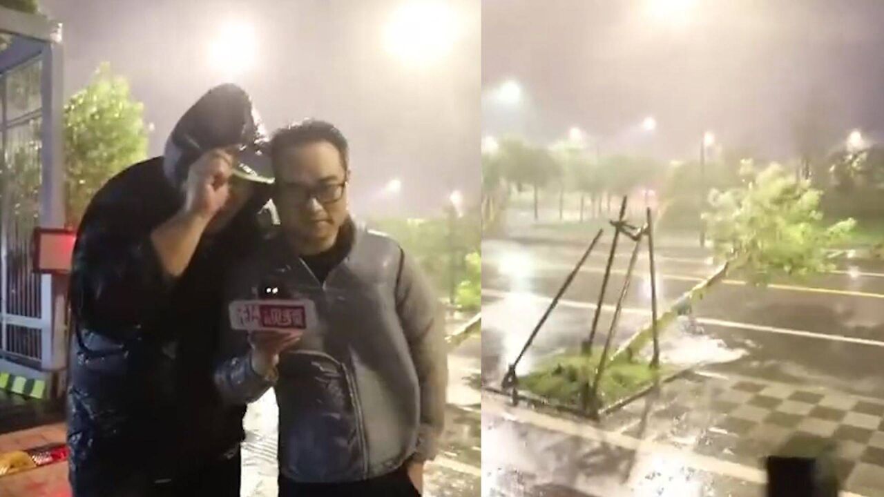 台风登陆在即:舟山现大风暴雨树木倒伏 两名记者相互搀扶完成报道