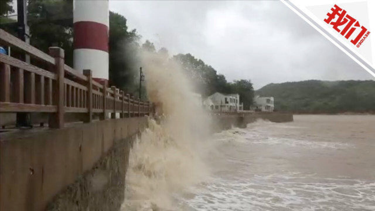 桥面积水、横风影响严重,浙江舟山跨海大桥13时起实施封道管制