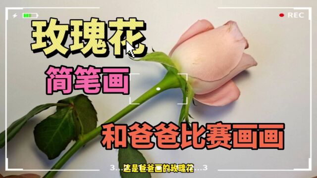 玫瑰花简笔画,你喜欢白玫瑰还是红玫瑰?和爸爸比赛画画谁会赢?