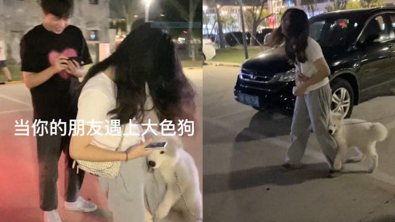 女孩散步遇到“大色狗”!被扒拉着大腿弄一身口水,网友:这狗随它主人