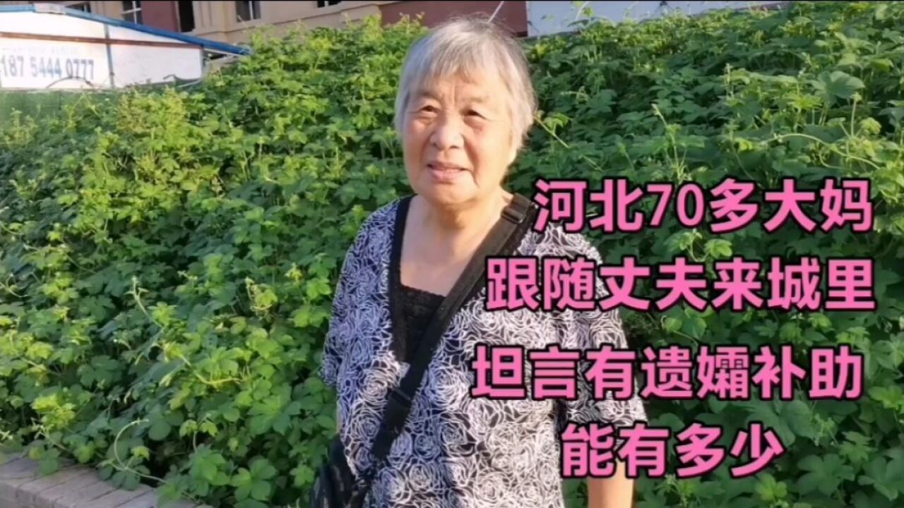 河北70多大妈,农民,坦言有遗孀补助,能有多少!