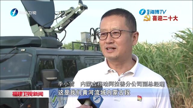 连四省,跨三国!这株福建“幸福草”,今天丰收大直播