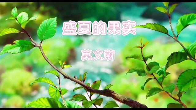 盛夏的果实—莫文蔚