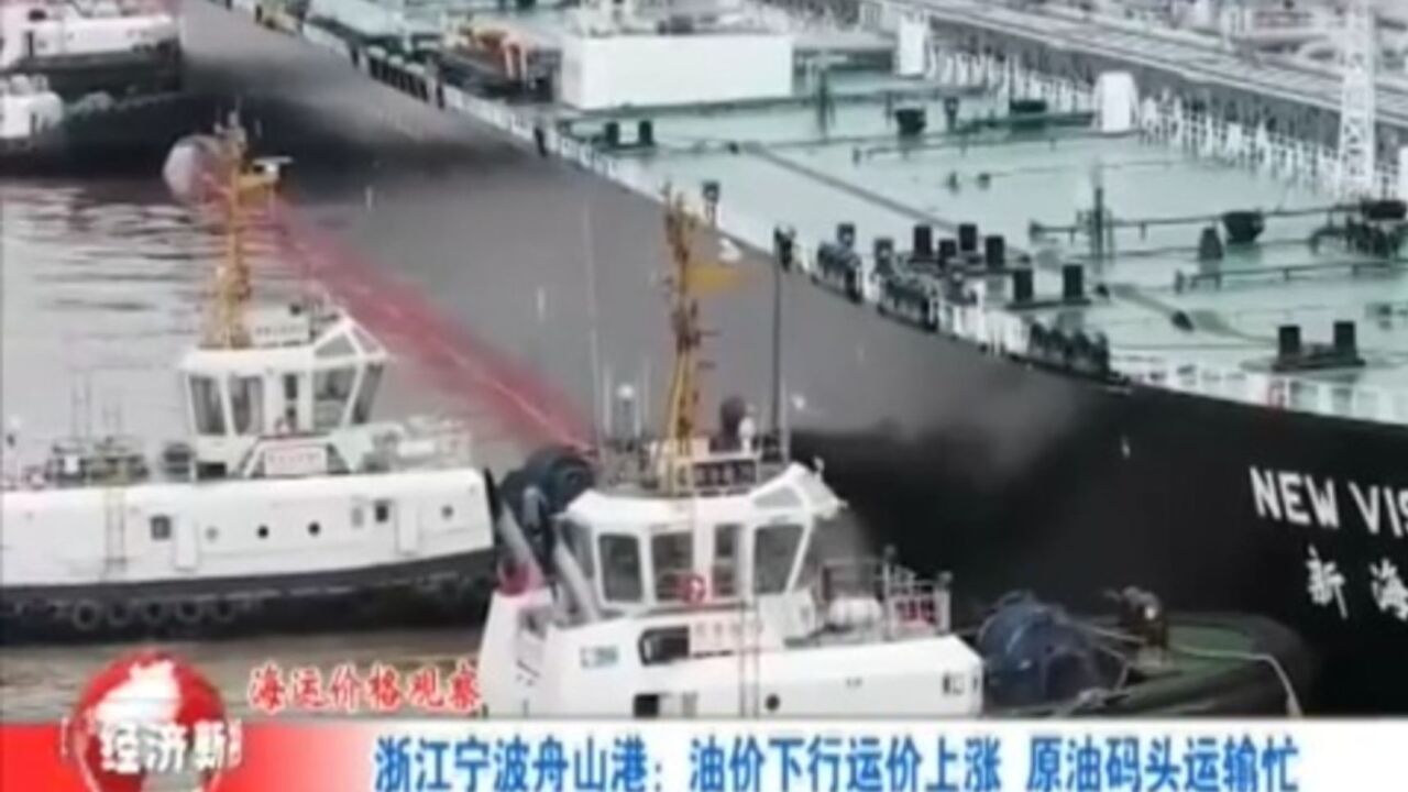 浙江宁波舟山港:油价下行运价上涨,原油码头运输忙