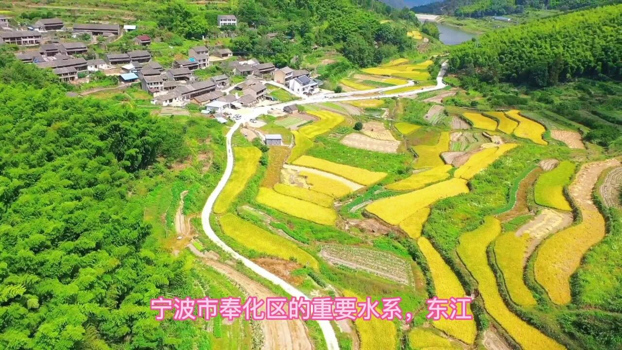 东江水系,葛岙水库蓄水,美丽的风景线