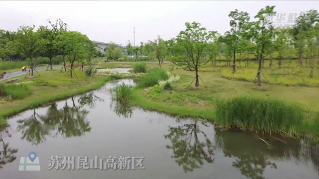 苏沪跨流域治理实现水清岸美产业兴