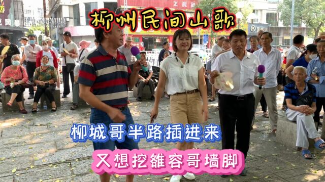 山歌对唱:柳城哥半路插进来,又想挖雒容哥墙脚