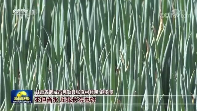 CCTV—1【新闻联播】关注民勤高效节水农业