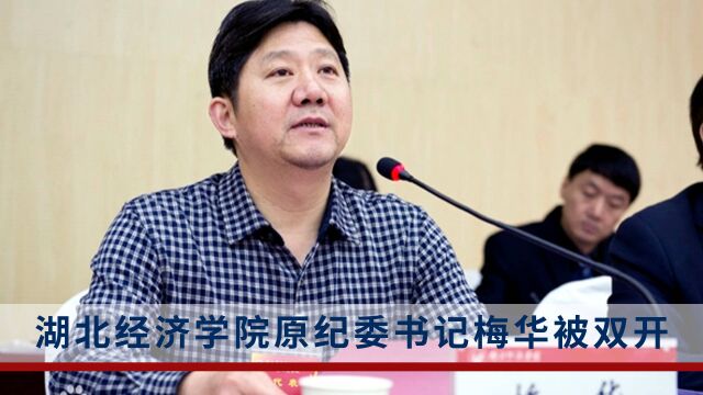 湖北经济学院原党委副书记、纪委书记梅华被双开