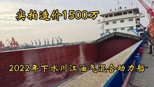 实拍重庆大老板造价1500万油气混合动力船,液化气设备就300万元