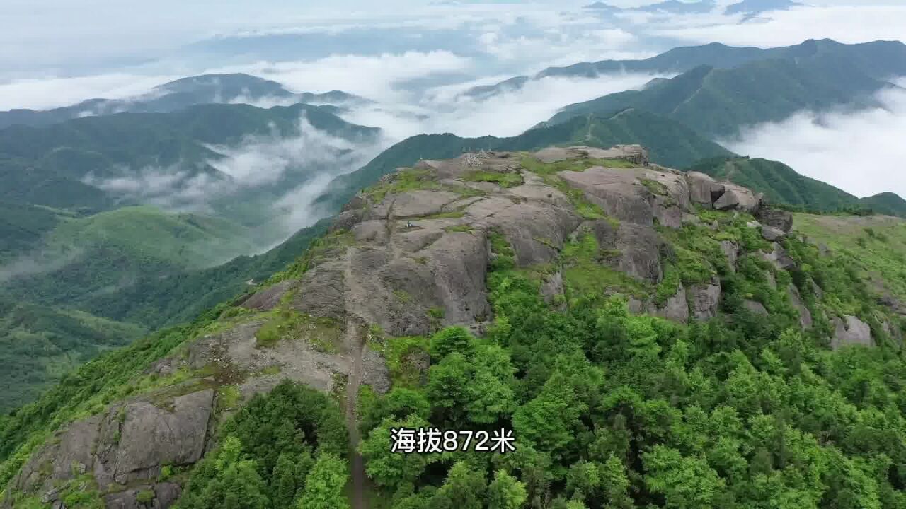 苍山之麓,沥水之阳,好山好水出美酒