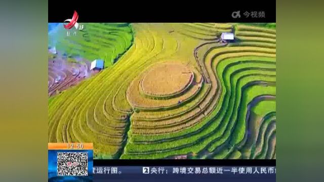 【赣闻天下ⷨ𕣥𗞮Š大余】打造城市“小游园” 承载群众“大幸福”