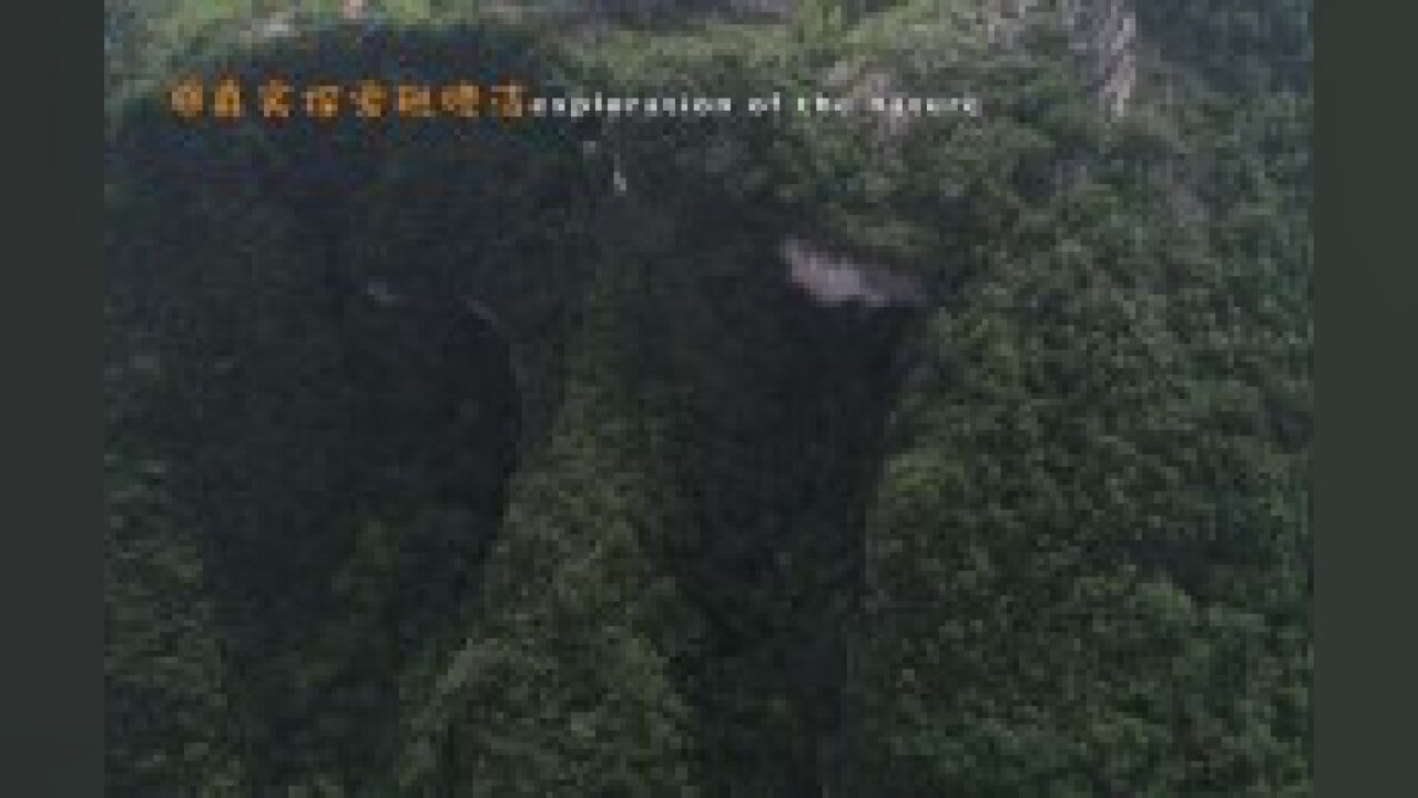 湖北天坑新发现004:峰山村一带的奇特槽谷与塌陷,湖北襄阳南漳县