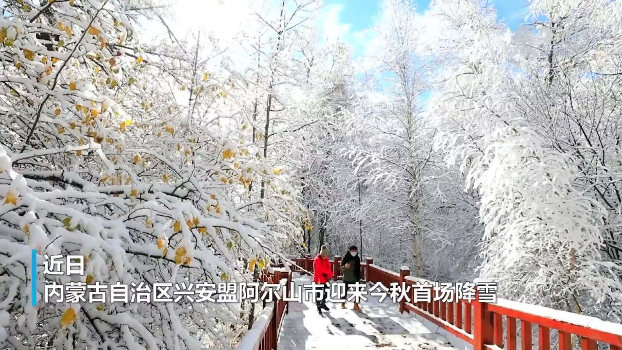 来阿尔山看初雪