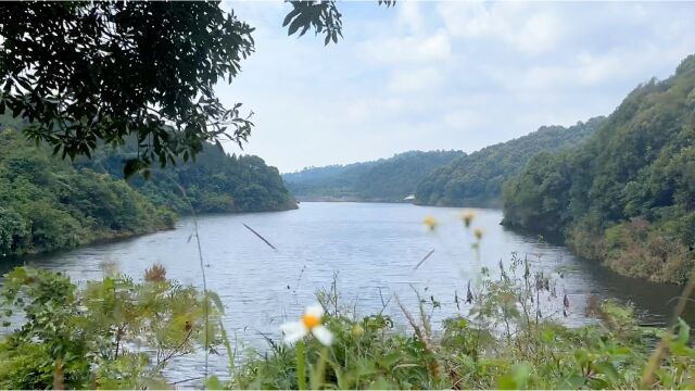 广西玉林市陆川县温泉镇暗地水库