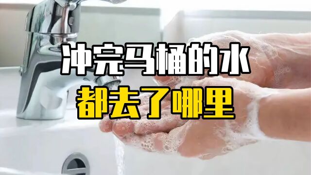 冲完厕所的水都到哪里去了?