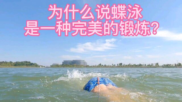 迎国庆泰州天禄湖野泳.为什么蝶泳是完美的健身锻炼?