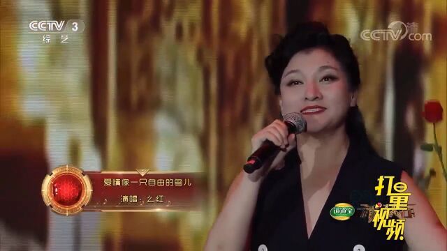 么红带来经典歌曲《爱情像一只自由的鸟儿》,高音厉害