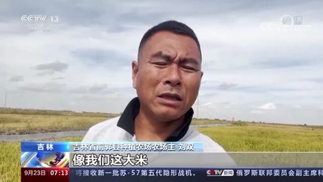 稻蟹综合种养 螃蟹喜获丰收