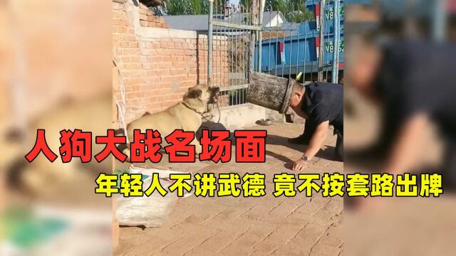 年轻人不讲武德,竟然搞偷袭?盘点网络上人狗大战名场面