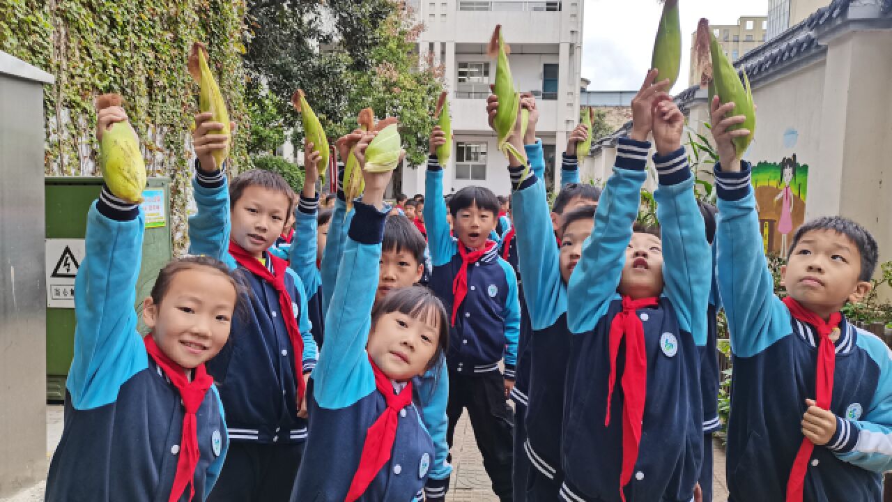 小学生光盘1个月学校奖励玉米:希望孩子们养成勤俭节约的习惯