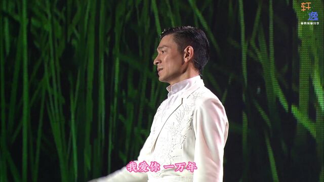 刘德华演唱会永恒的经典歌曲《爱你一万年》