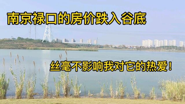 2022年禄口房价已经跌入谷底,为何禄口小伙还是对它非常热爱!