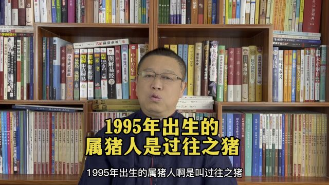 秦华说生肖:1995年出生的属猪人怎么样?1995年的属猪人是过往之猪