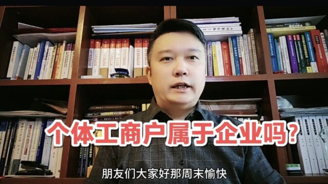 个体工商户属于企业吗?