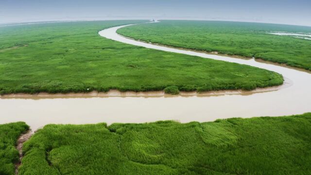 “益心华泰 一个长江”四年记:凝聚多方力量,探索多样湿地保护范本