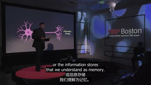 大脑中的记忆和信息存储:分子视角字幕