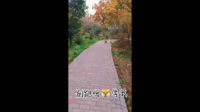 vlog作业....