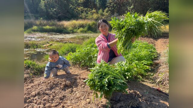 农村不一样的蔬菜,新鲜葱绿的雪里红,你吃过吗?