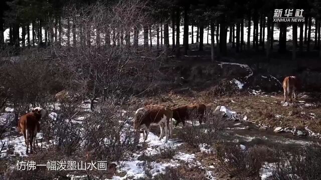 青海达坂山冬日景色壮美