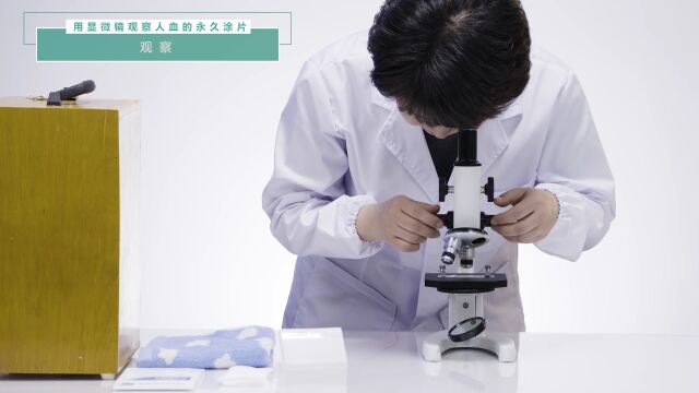 人教版七年级生物实验演示视频(11—12)