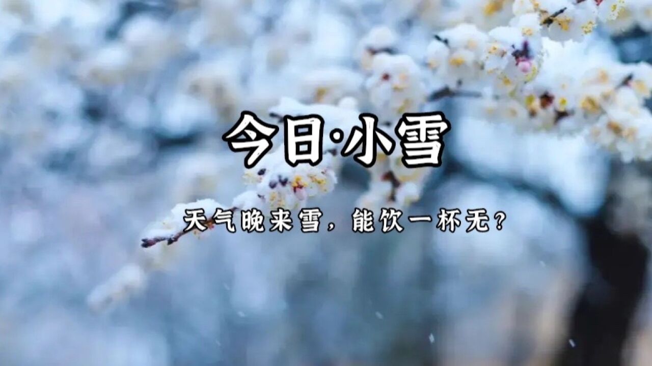 小雪节气喝酒会友,白居易一首20个字的口水诗,却将人生写透!