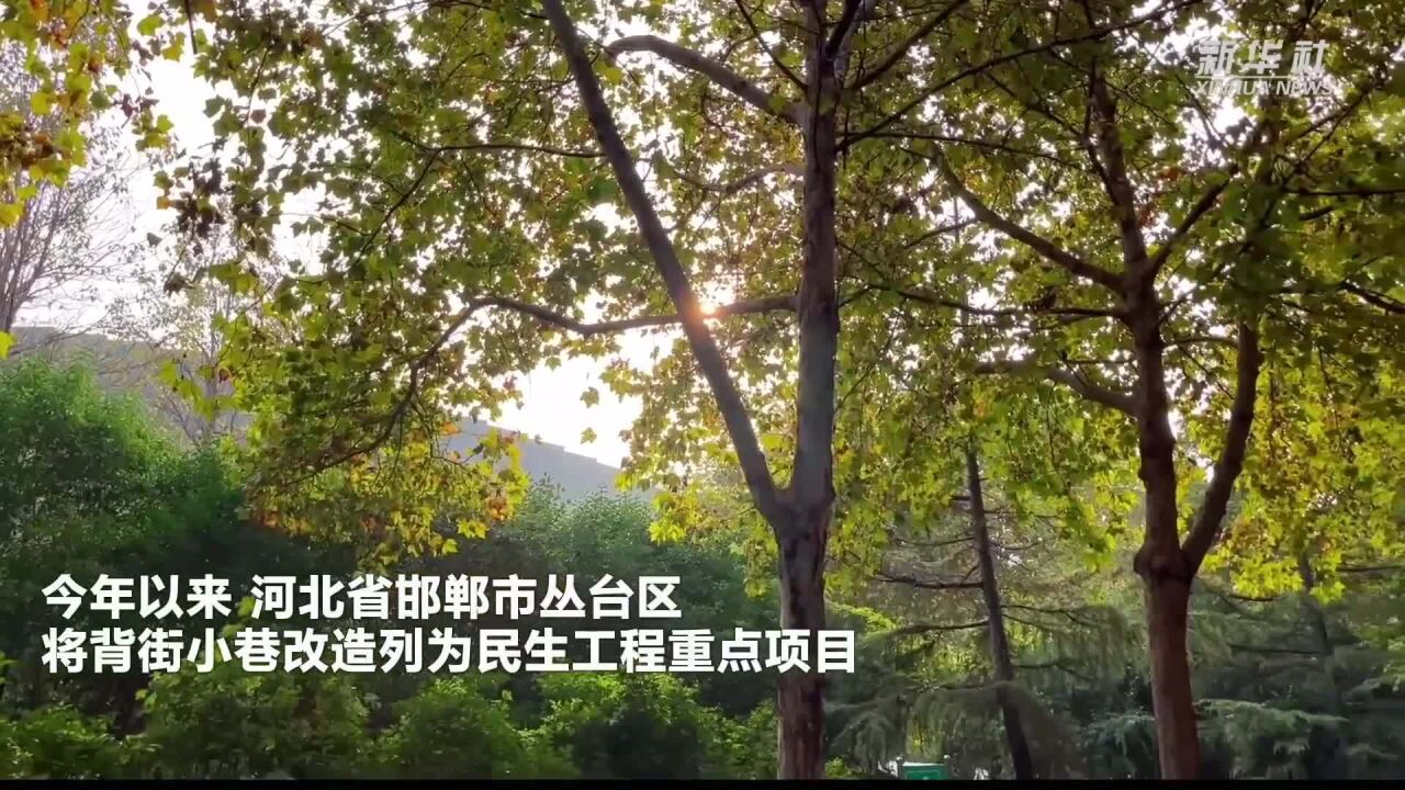 河北邯郸:背街小巷改造让城市更靓丽