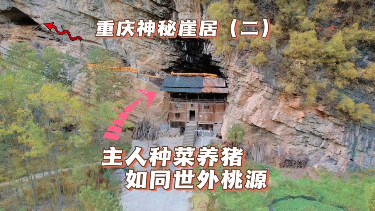 重庆大山里的崖居人家(二),种菜养猪如世外桃源,500万都不卖