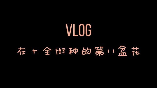 且停且看且随风 且行且看且从容.