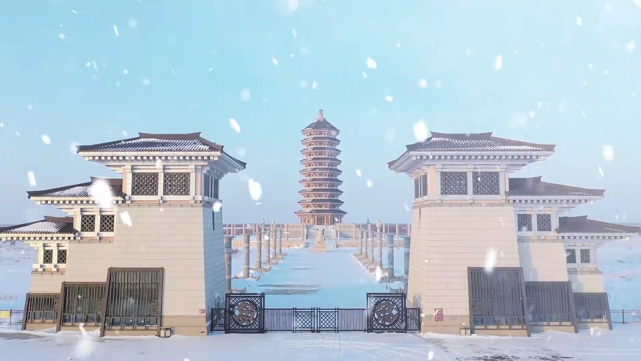 【视频】大雪节气 东极抚远雪景如画