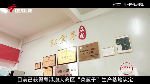 《广东新风采》| 助推乡村振兴 推进农村一二三产业融合发展——红盒子庄园(广州)生态农业有限公司